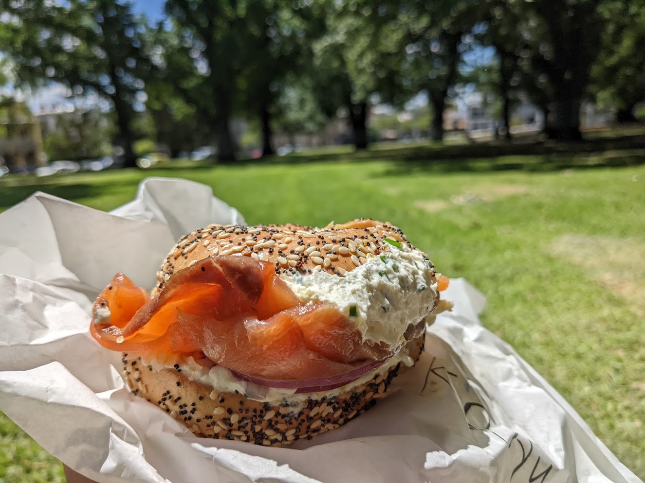 Bagel in wrapper with blurred background of Carlton Gardens, Fitzroy