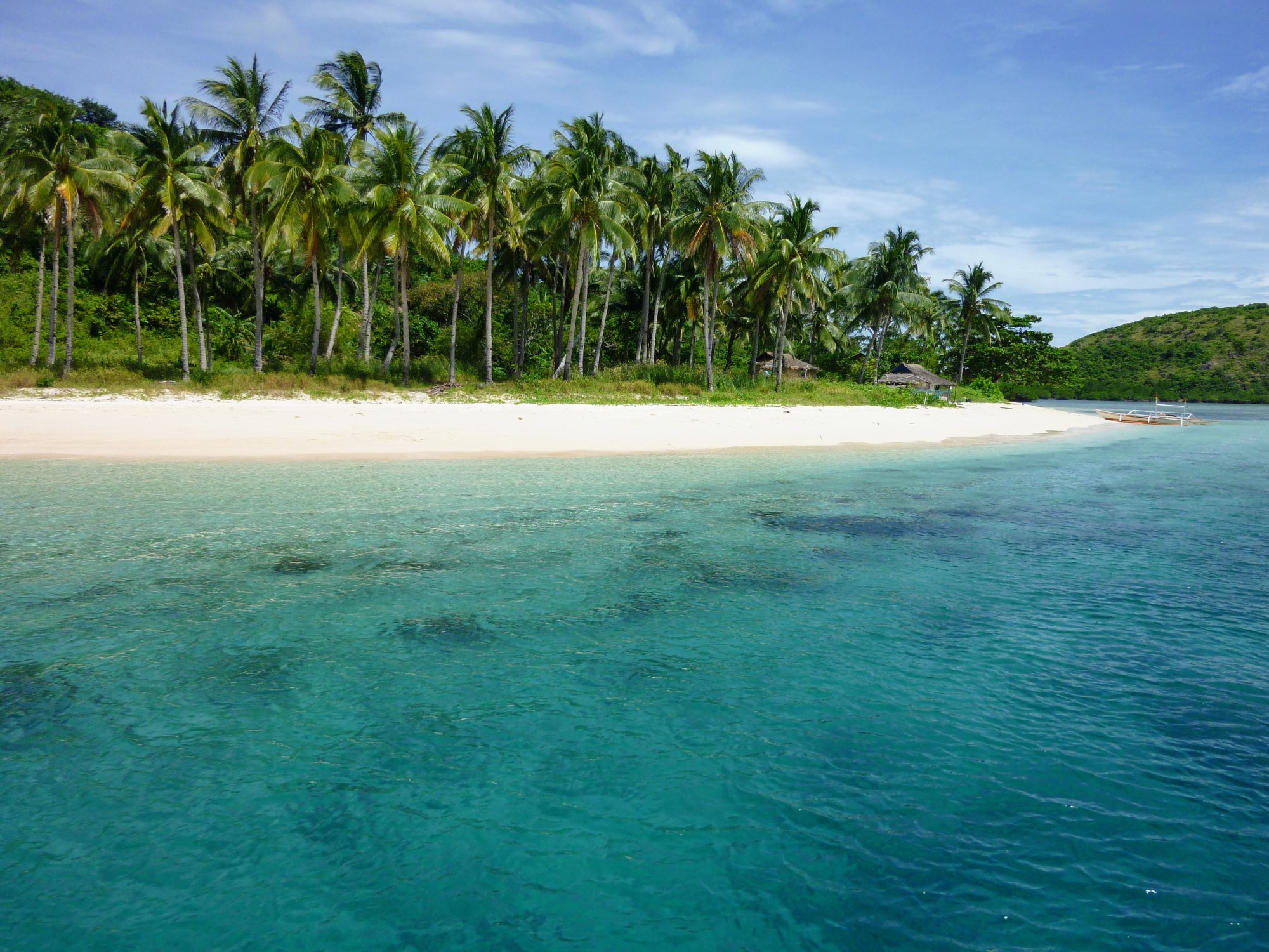Tropical island viewed from offshore, with forest of palm trees just behind a thin strip of white sand beach.
