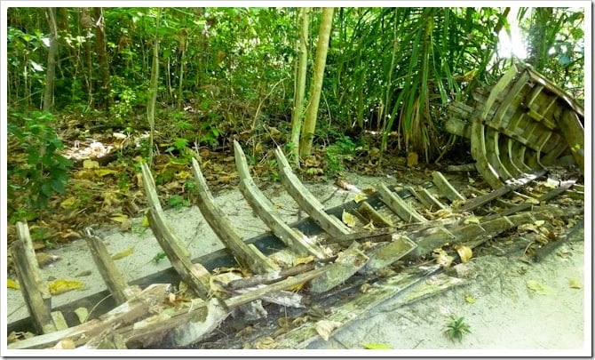 Skeletal remains of a post-tsunami longtail