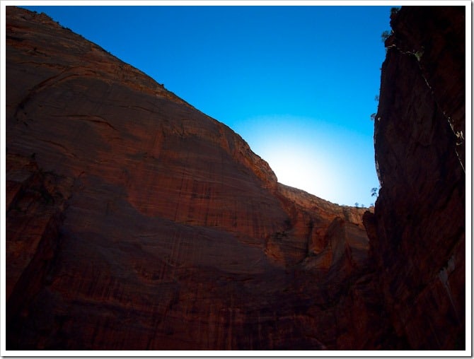 The wild beauty of Zion National Park