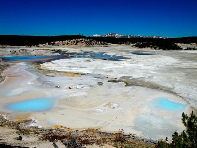 The incredible diversity of Yellowstone