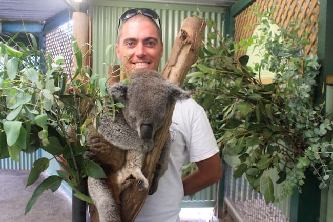 Dave and Koala