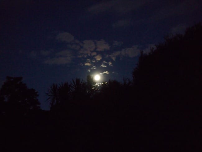 Full moon, Ruakuri Scenic Reserve