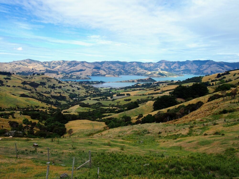 Expansive view over hills and harbour on Banks Peninsula in New Zealand
