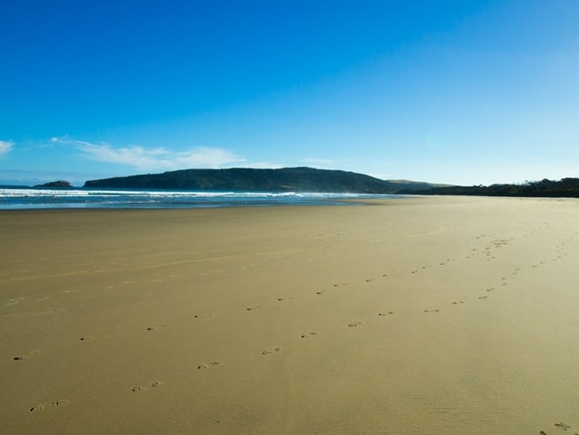 The isolated beauty of the Catlins