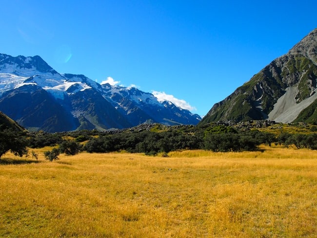 Fields and mountains, Mount Cook