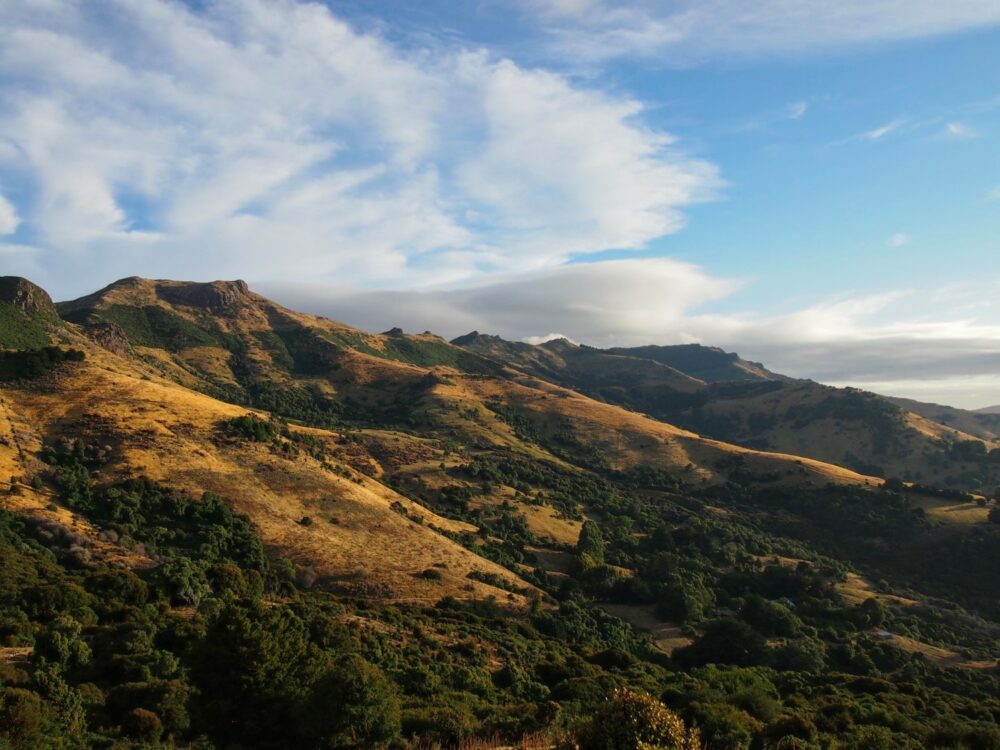 Golden light on the hills in Banks Peninsuala