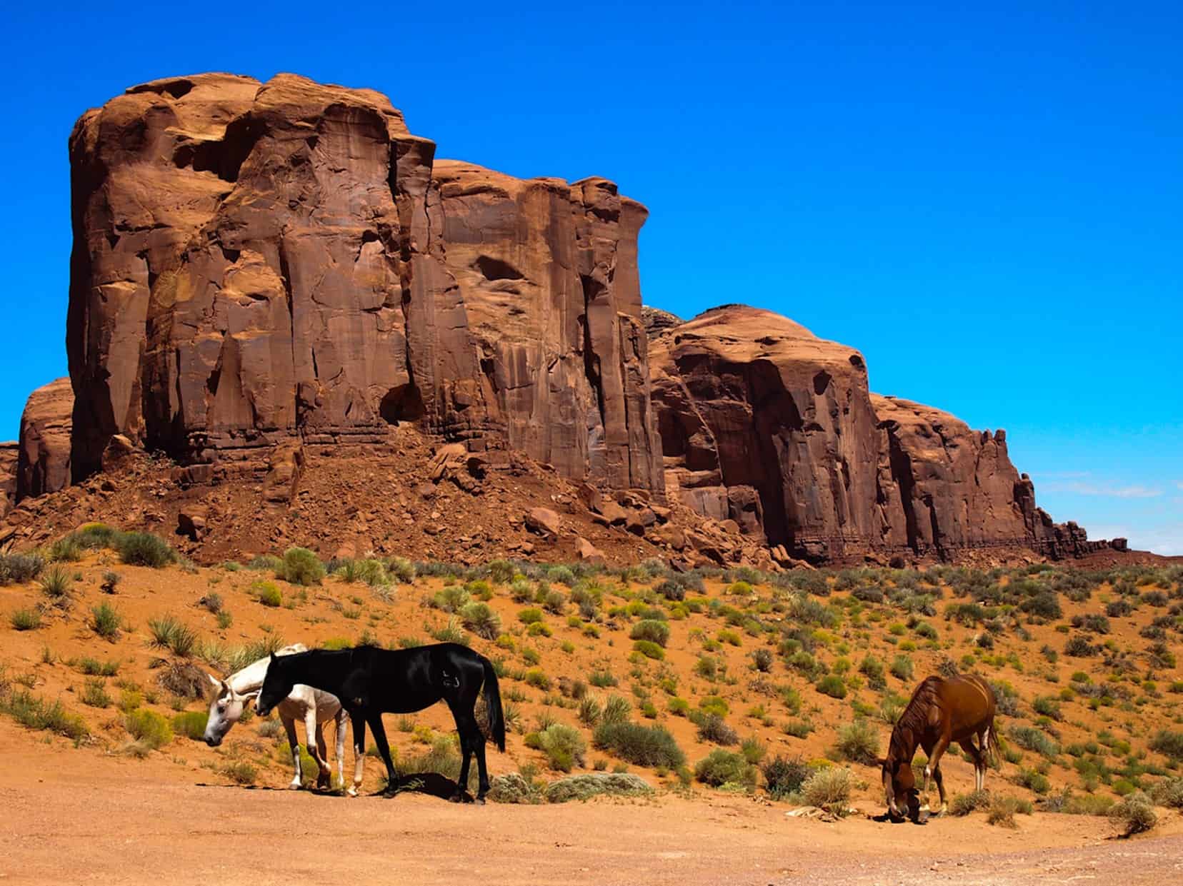 Monument Valley horses