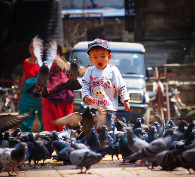 Chasing pigeons, Durbar Square