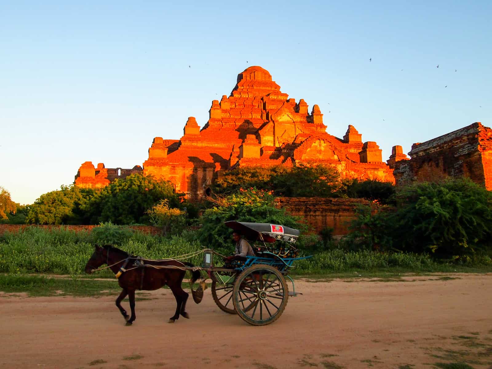 Horse and carriage at Bagan