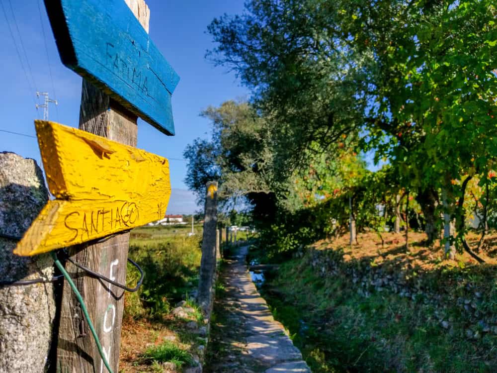 A wooden signpost with handwritten directions. A blue sign points backwards and says "Fatima", a yellow sign points forwards and says "Santiago". A narrow cobbled trail is visible, with an embankment on one side and grass on the other. 