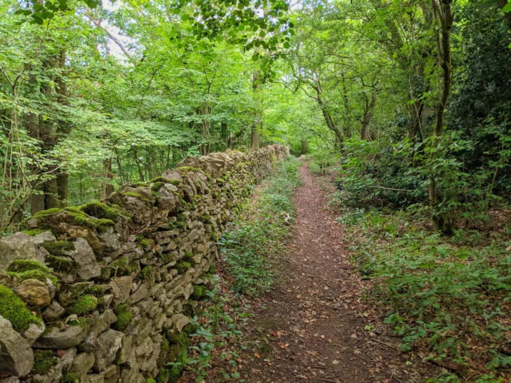 Trail beside a stone wall, Cotswold Way