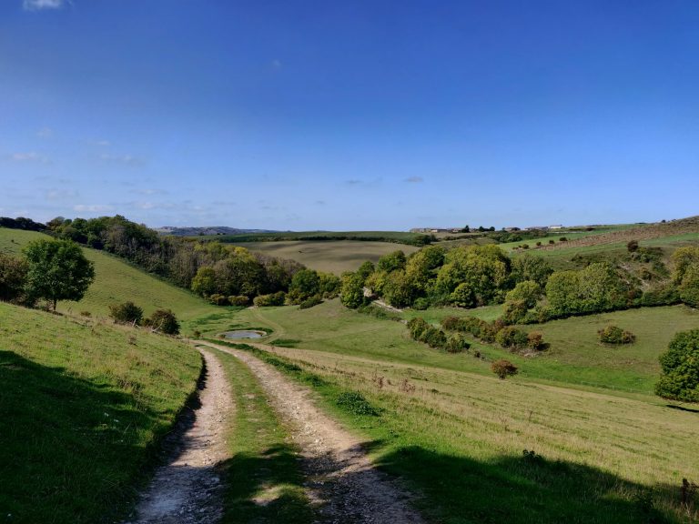6 of the Best Day Walks in the South Downs