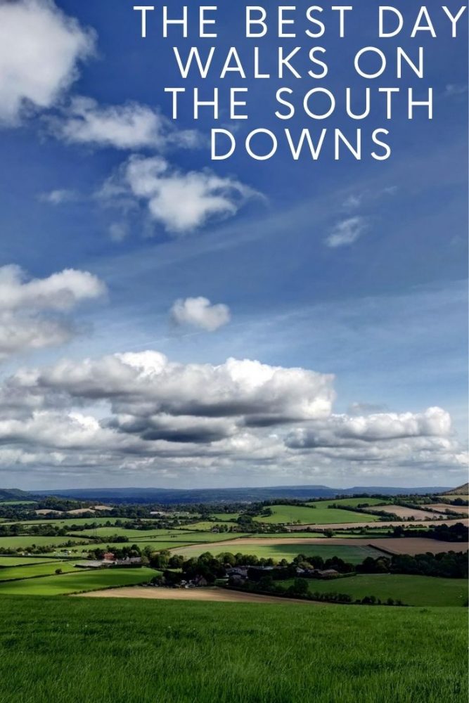 The best day walks on the South Downs