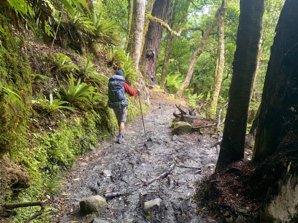 Rear view of Dave hiking with backpack on - Lake Waikaremoana walk