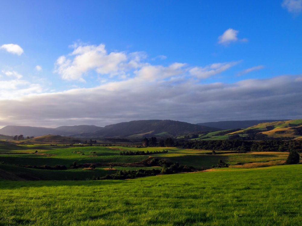 View over farmland in the Catlins, at the  end of the day
