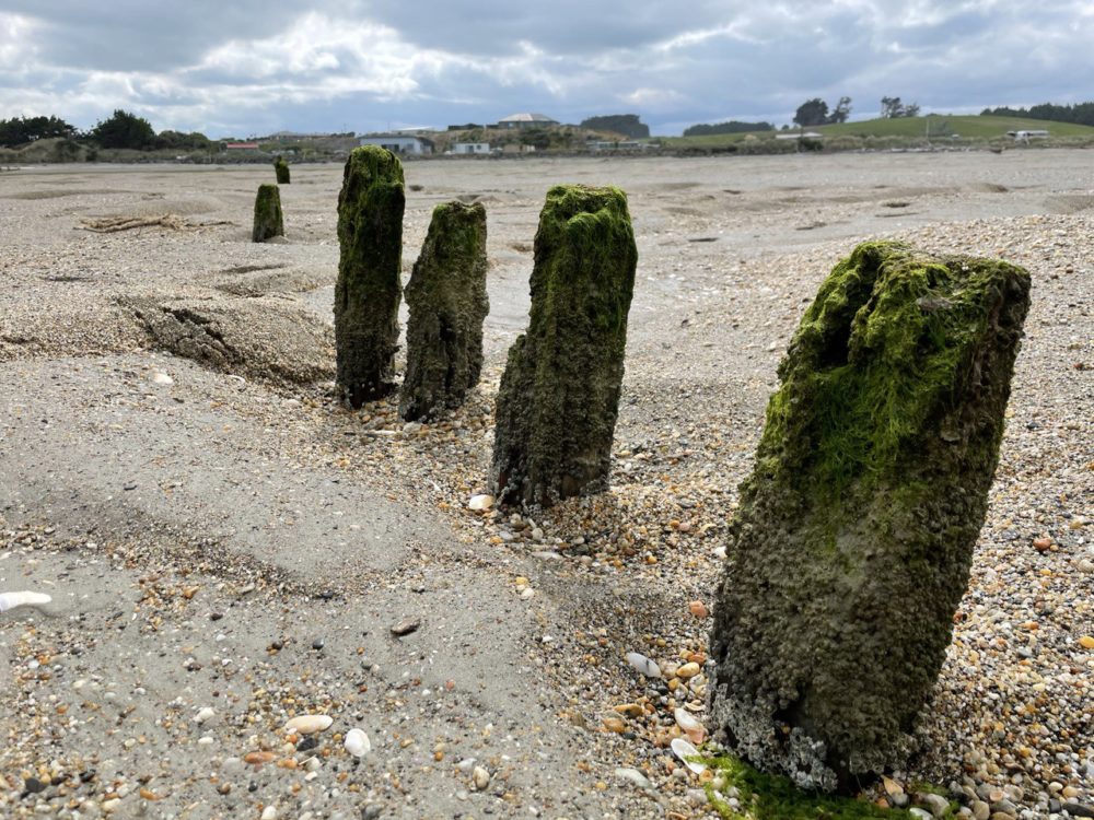 Shipwreck remains at Fortrose, Catlins