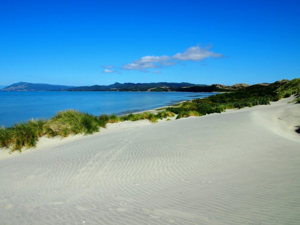 View of sand and ocean at Farewell Spit, New Zealand