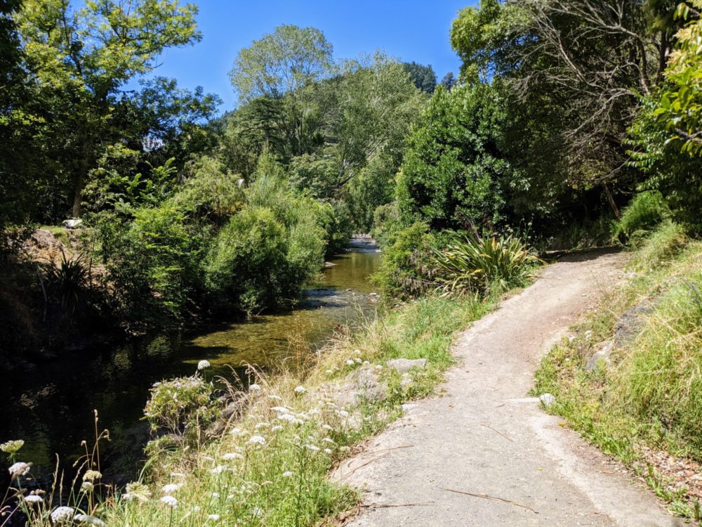 Path alongside a river near Nelson, New Zealand, on the Matai Valley Walkway