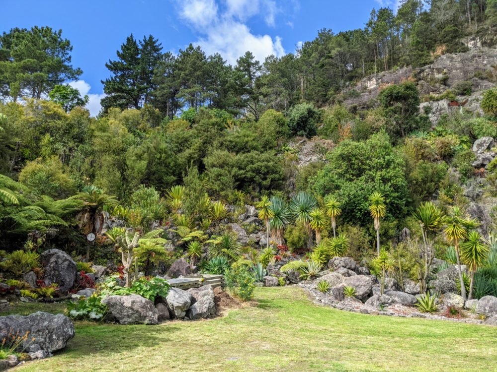 Gardens and lawn at Te Puna Quarry Park