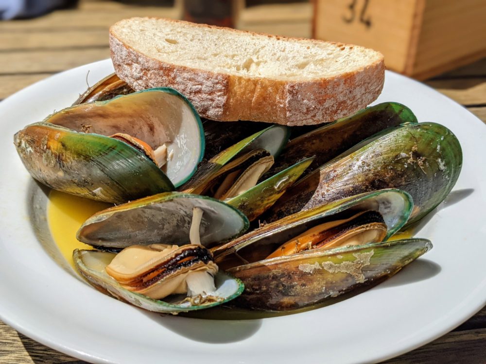 Plate of mussels with bread