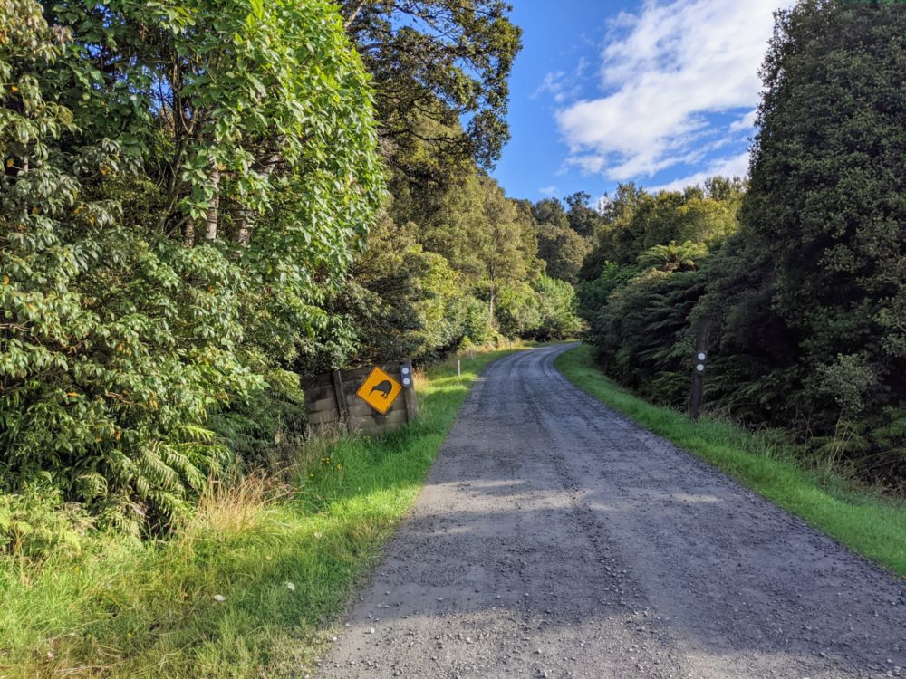 Kiwi sign beside a gravel road, near the start of the Rakiura Track on Stewart Island