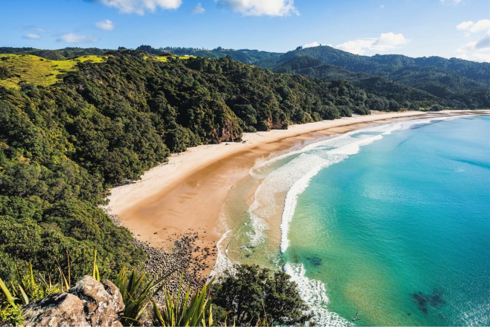 Deserted beach surrounded by forest and hills on the Coromandel Peninsula in New Zealand