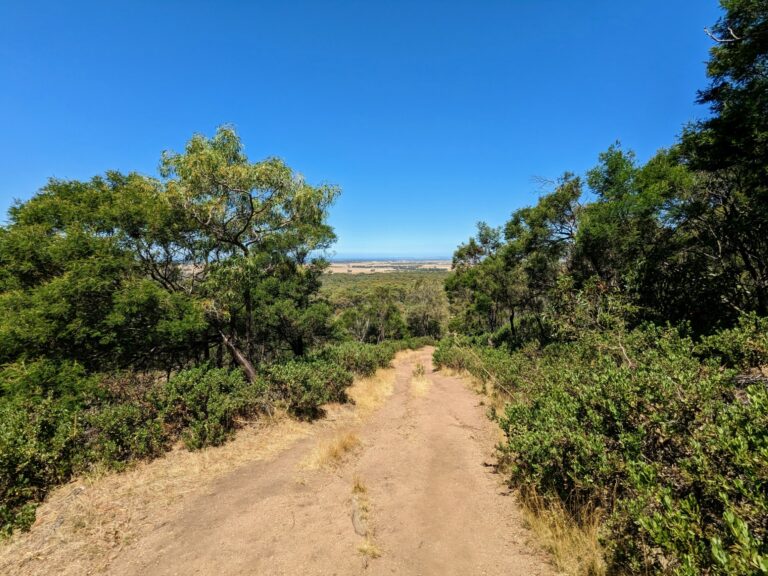 Looking down a dirt trail in the You Yangs Regional Park, with trees either side and views out over surrounding countryside in the distance