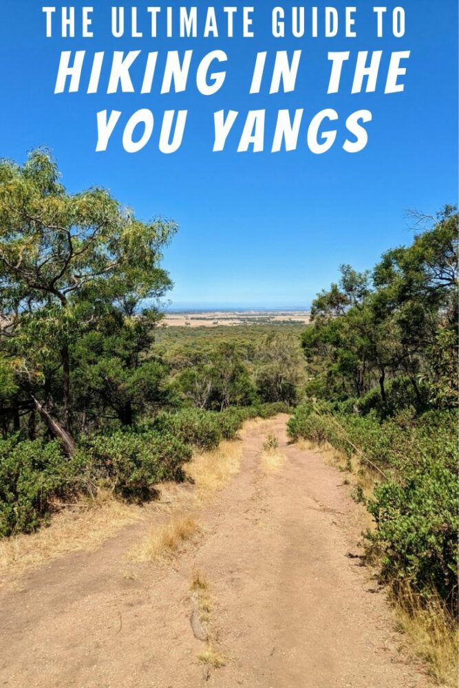 Dirt track with trees on either side and forest in the distance, with text "The Ultimate Guide to Hiking in the You Yangs" at top