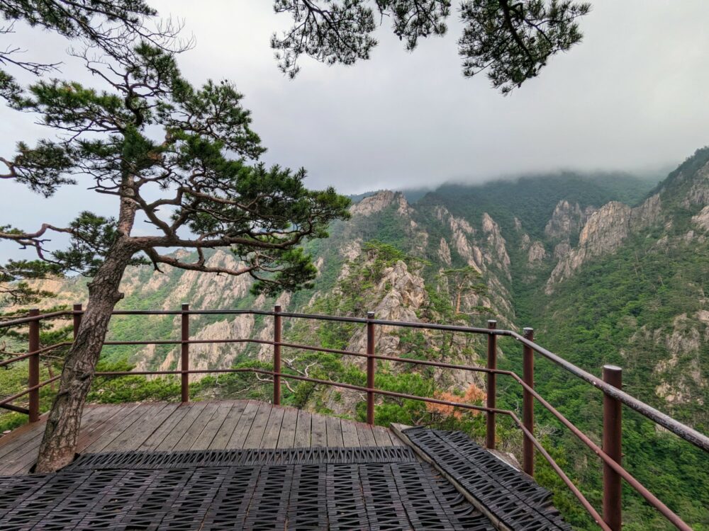 Viewpoint with tree growing through the wooden decking, overlooking expansive forested granite slopes. Thick grey cloud covering the tops of the mountains.