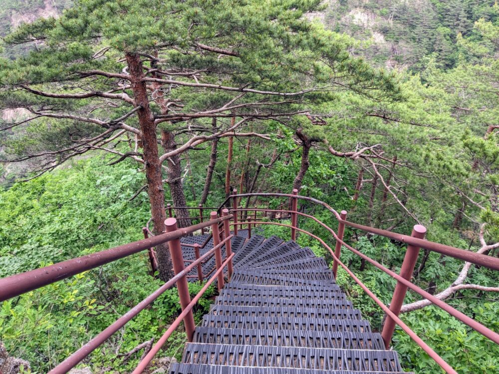 Steep staircase with rubber grips on each step and metal handrails, descending into a valley with dense foliage on both sides.