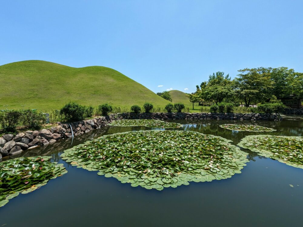 Grassy earth mounds behind a still pond with lily pads in Gyeongju, South Korea