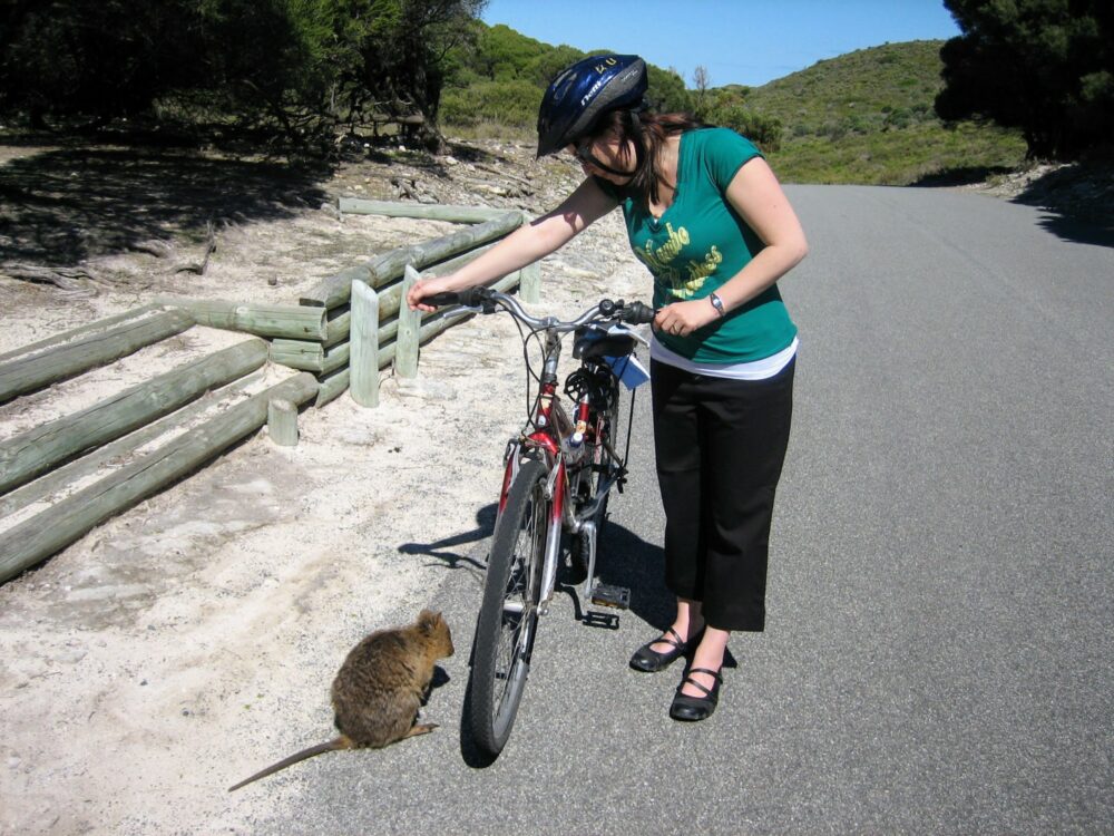 Woman holding a bike on the side of a road with a quokka standing alongside