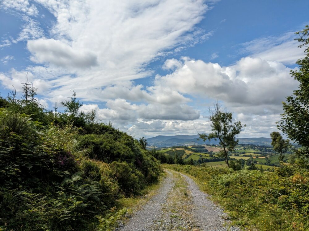Gravel forest road near the top of a hill with views out towards the countryside below