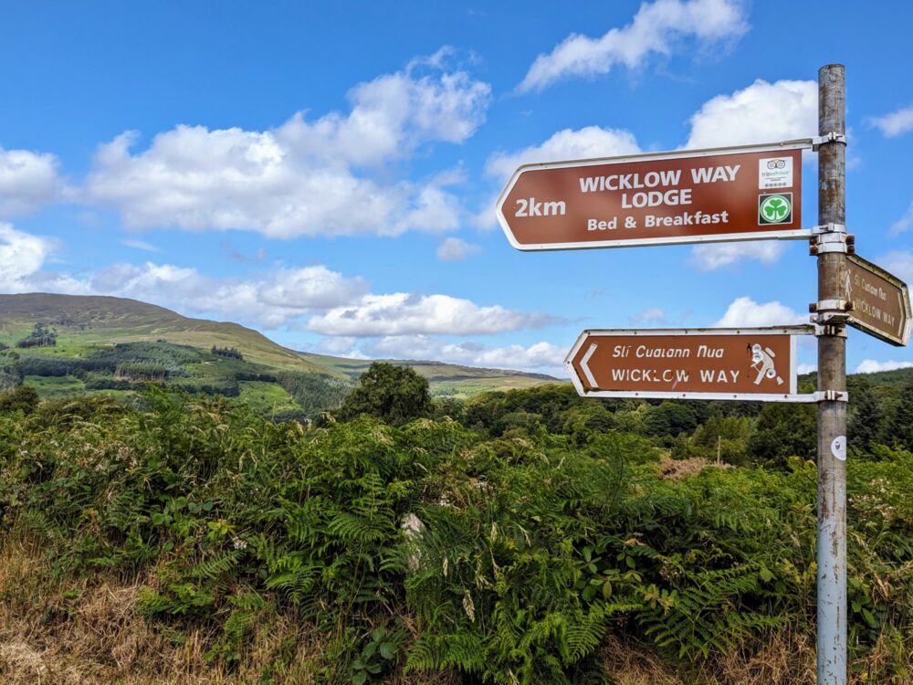 A metal pole with three signposts on it, two pointing left for the Wicklow Way and Wicklow Way Lodge, and the other pointing right for the Wicklow Way. Bushes alongside and a hill in the distance.