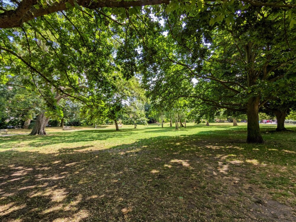 Grassed park with many large trees dotted around. A path runs through it with wooden benches placed alongside.