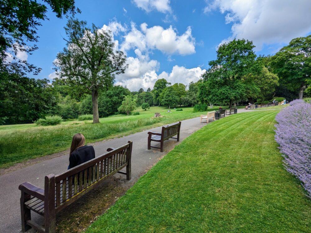 A sealed path with benches dotted along it, some of which have people sitting on them. A bed of flowers and small lawn is on the right of the path, with a large park with trees and grass to the left