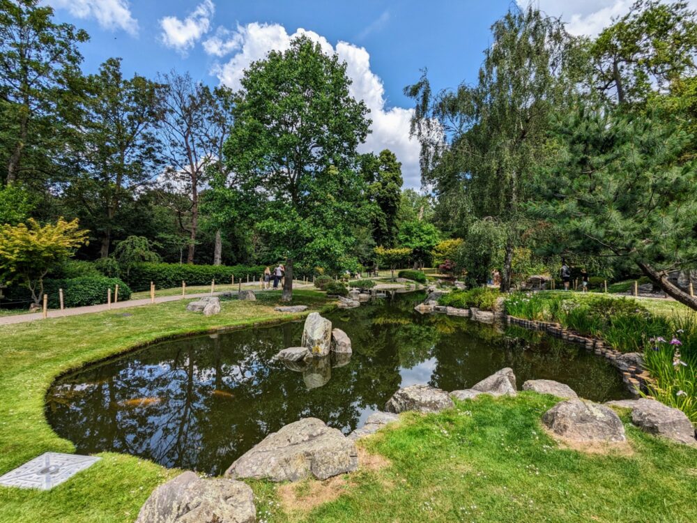 Looking over a Japanese-style pond and garden with large trees either side
