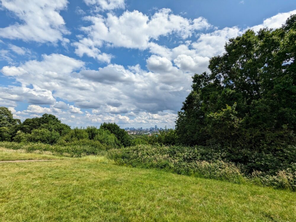 The top of a grassed hill with trees just beyond and tall buildings in the distance, on a sunny day with blue sky and white clouds