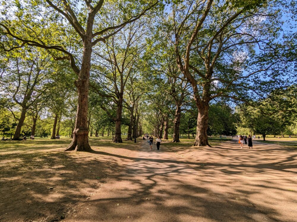 Long, straight, tree-lined paths in a park, with people walking along them