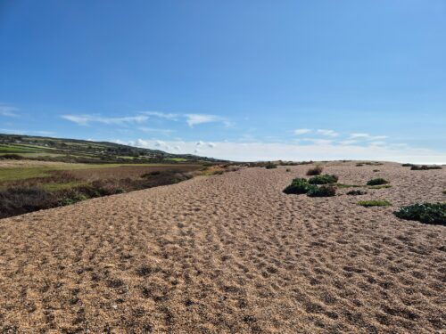 Long, deep shingle beach with fields to the left.